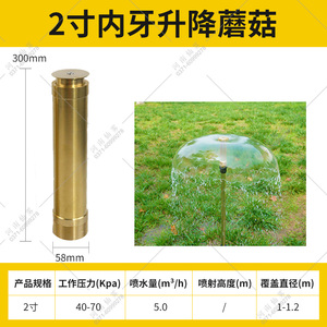 升降蘑菇喷泉喷头